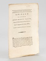 Opinion du Citoyen Jean-Marie Calès, Député du Département de la Haute-Garonne, sur le Jugement de Louis XVI