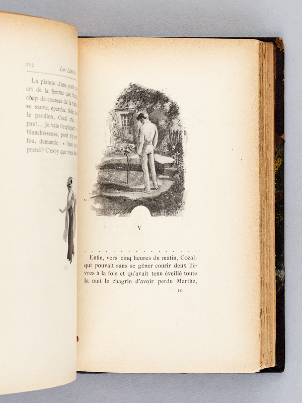 photo n°7 : Les linottes.  [ édition originale ]