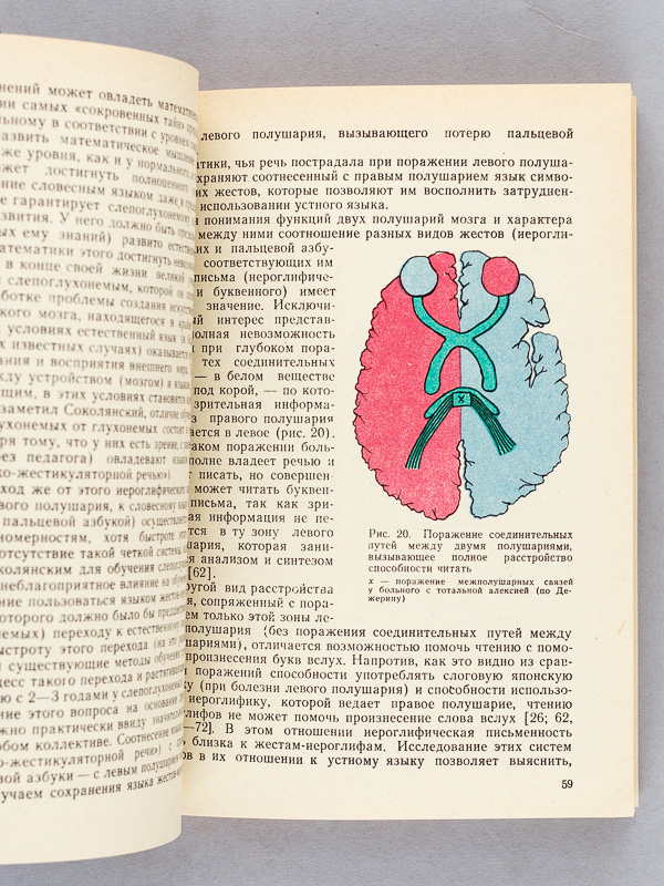 photo n°5 : [ Odd and Even - Brain asymmetry and sign systems ]  ( Title in Russian : )             -                                    [Signed copy, offered to Prof. René Thom ]