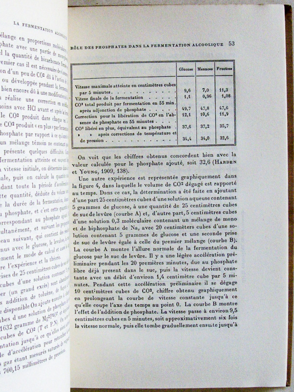 photo n°5 : La Fermentation alcoolique.