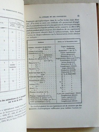 photo n°6 : La Fermentation alcoolique.