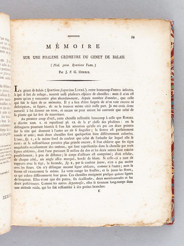 photo n°11 : Archives de l'Histoire des Insectes, publiées en allemand. Traduites en françois.