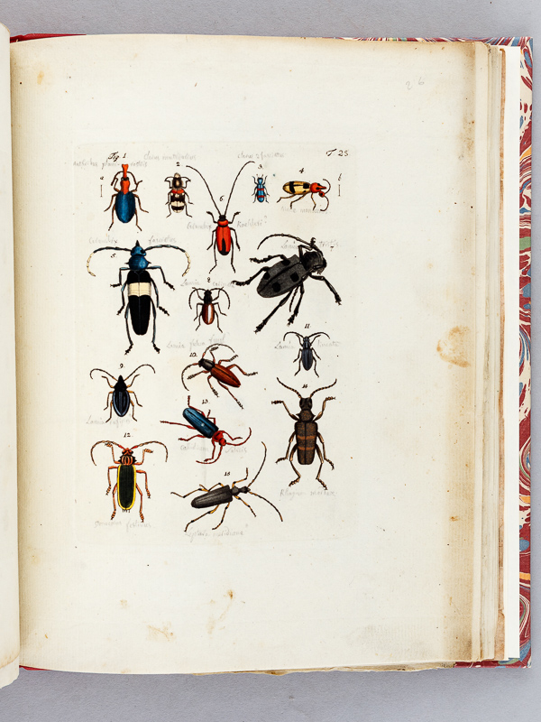 photo n°13 : Archives de l'Histoire des Insectes, publiées en allemand. Traduites en françois.