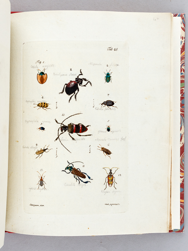 photo n°18 : Archives de l'Histoire des Insectes, publiées en allemand. Traduites en françois.