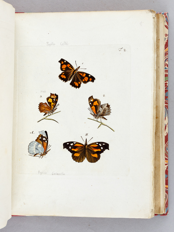 photo n°4 : Archives de l'Histoire des Insectes, publiées en allemand. Traduites en françois.