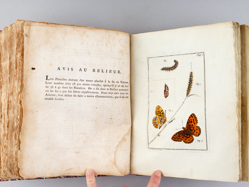 photo n°7 : Archives de l'Histoire des Insectes, publiées en allemand. Traduites en françois.