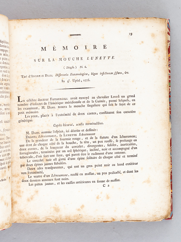 photo n°9 : Archives de l'Histoire des Insectes, publiées en allemand. Traduites en françois.