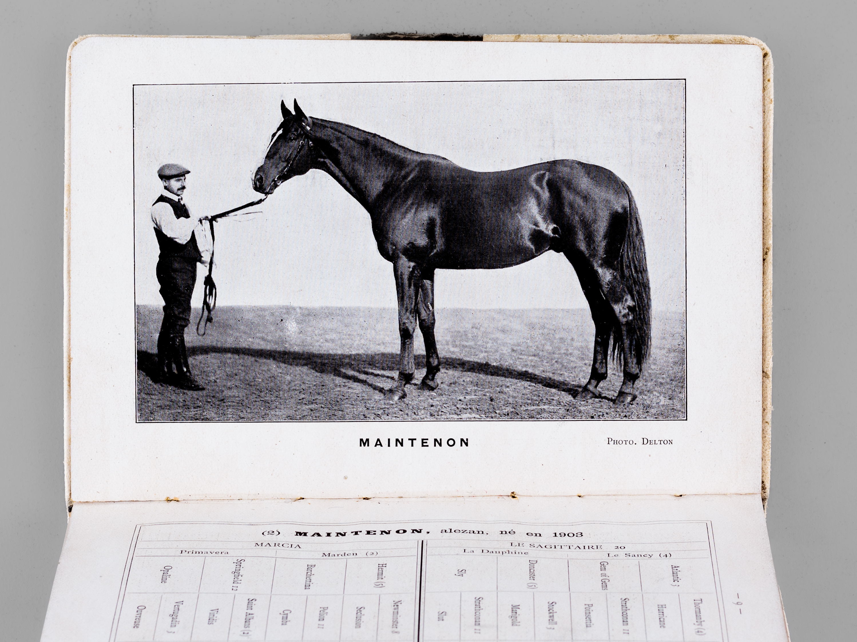 photo n°5 : Haras du Quesnay à M. W. K. Vanderbilt. Juillet 1911 [ Edition originale ]