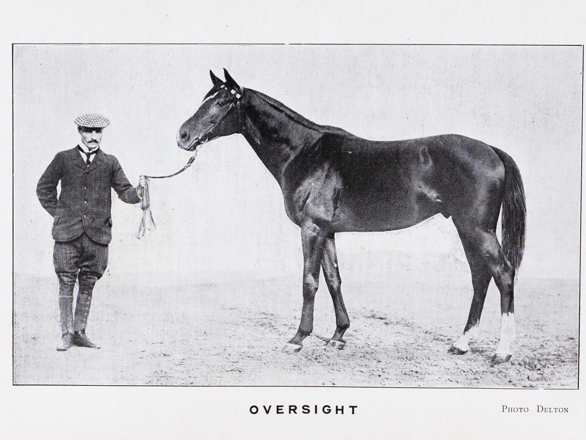 photo n°6 : Haras du Quesnay à M. W. K. Vanderbilt. Juillet 1911 [ Edition originale ]