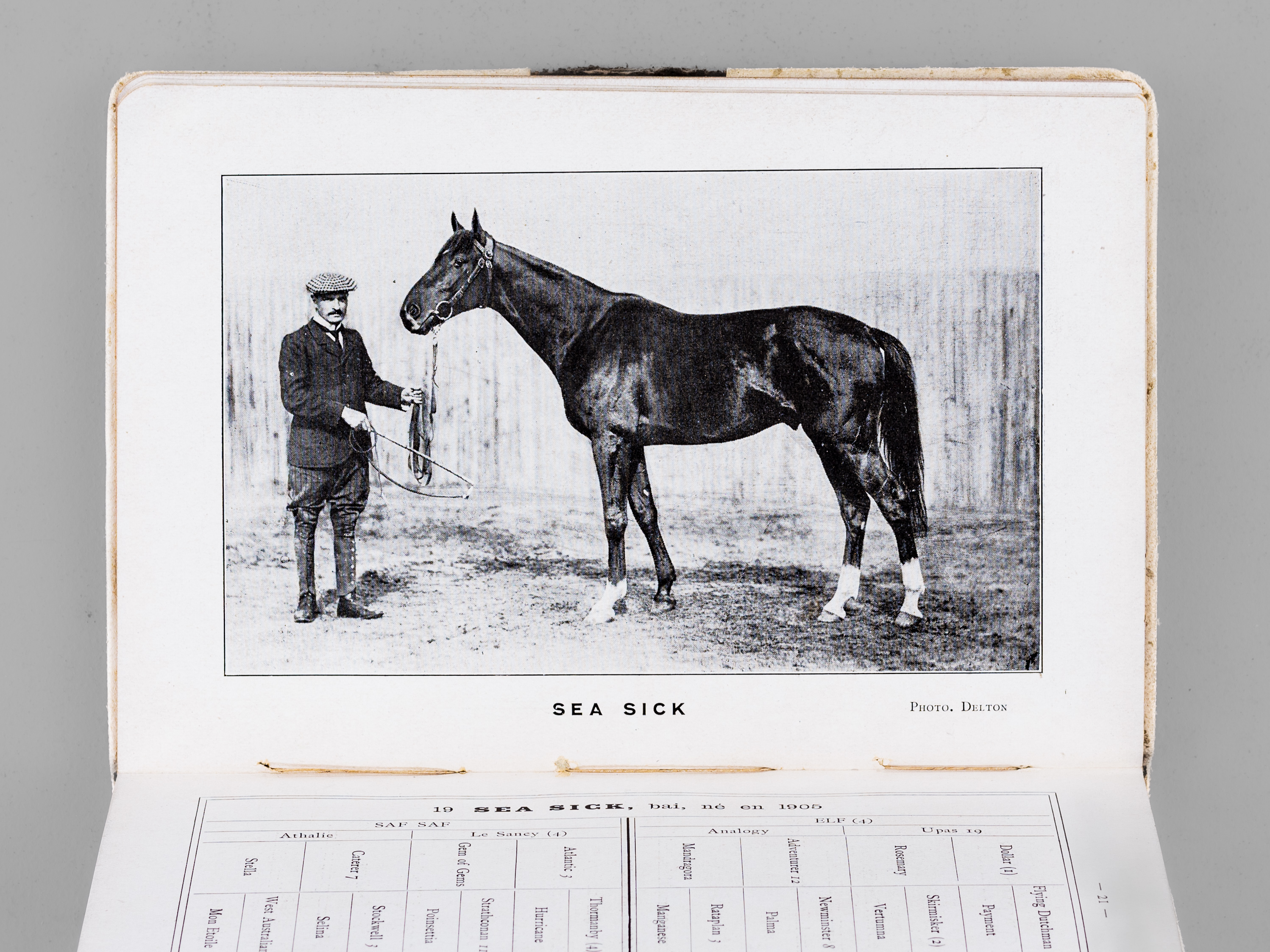 photo n°8 : Haras du Quesnay à M. W. K. Vanderbilt. Juillet 1911 [ Edition originale ]
