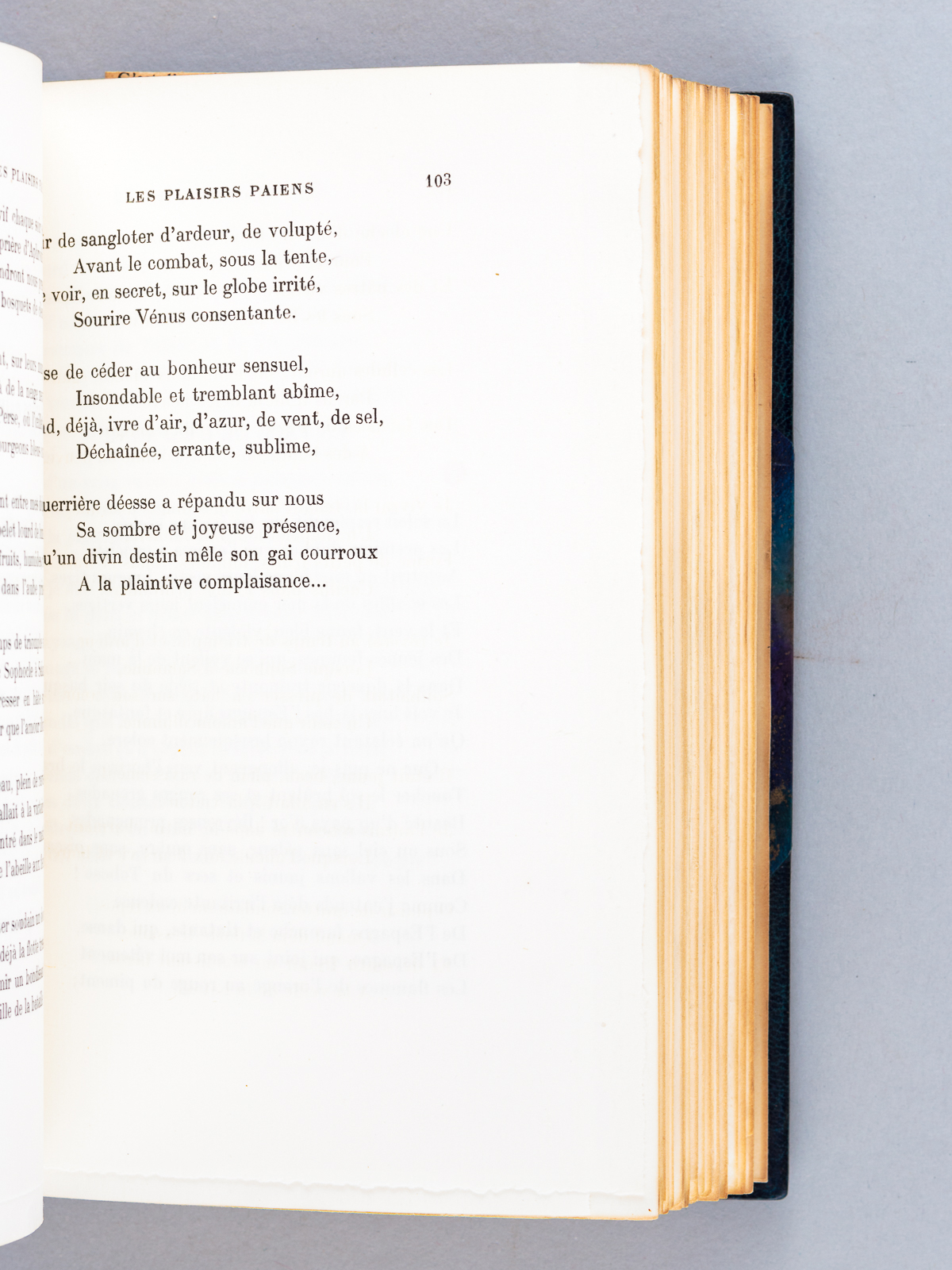 photo n°8 : Les Eblouissements [ Edition originale - Livre dédicacé par l'auteur ]