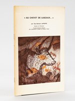 'Au chevet de Lascaux...' Les travaux de la Commission Scientifique pour la sauvegarde des peintures rupestres de la grotte préhistorique.