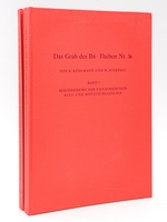 Das Grab des Ibi, Obergutsverwalters der Gottes-gemahlin des Amun (Thebanisches Grab NR. 36) Band I : Beschreibung der Unterirdischen Kult- und Bestattungsanlage. Text und Tafeln