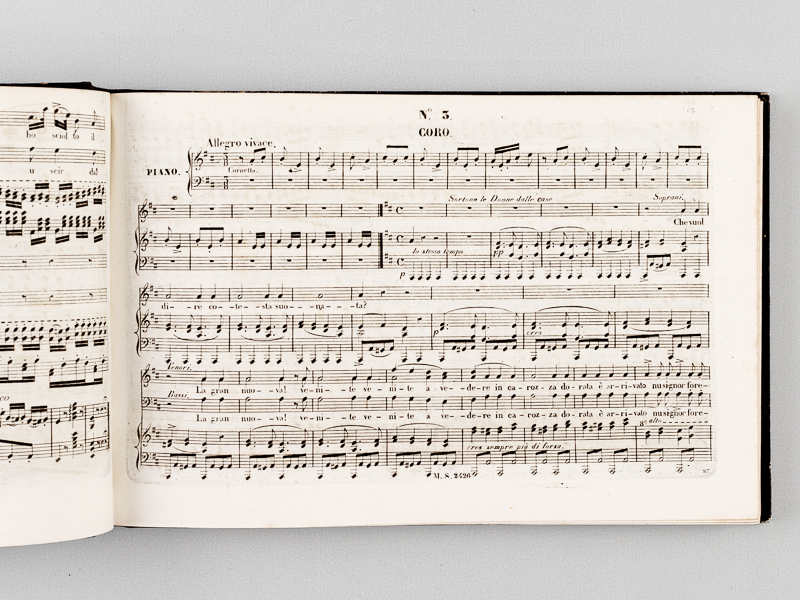 photo n°7 : L'Elisire d'Amore. Opera buffe in due Atti