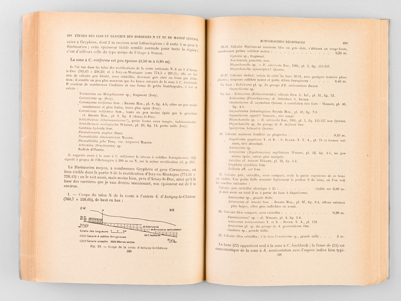 photo n°4 : Etudes sur le Lias et le Bajocien des bordures Nord et Nord-Est du Massif Central français. Bulletin du Service de la Carte Géologique de la France. N° 236 - Tome L, 1952
