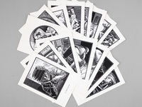 Lot de 16 cartes postales avec des illustrations d'Alban Caumont, tirées des ouvrages qu'il a illustrés aux éditions de l'Arbre Vengeur.
