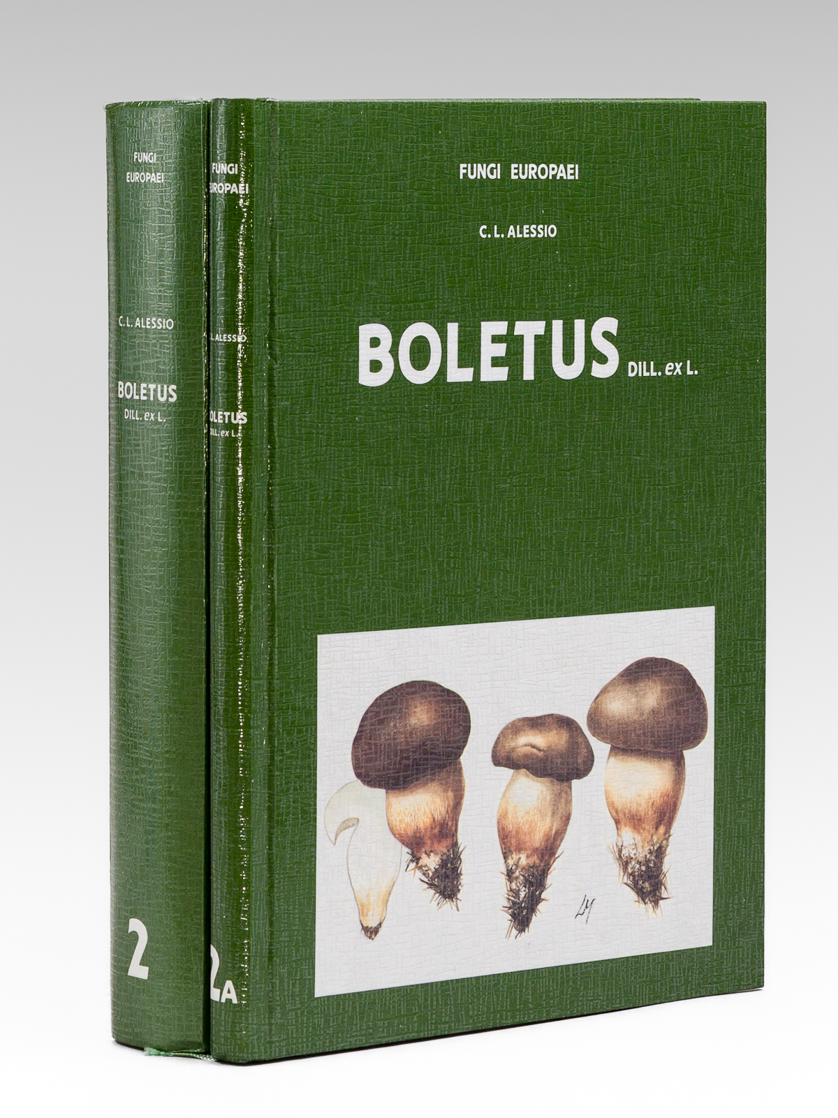 photo n°10 : Boletus Dill. ex L. (sensu lato) : 2 et 2A