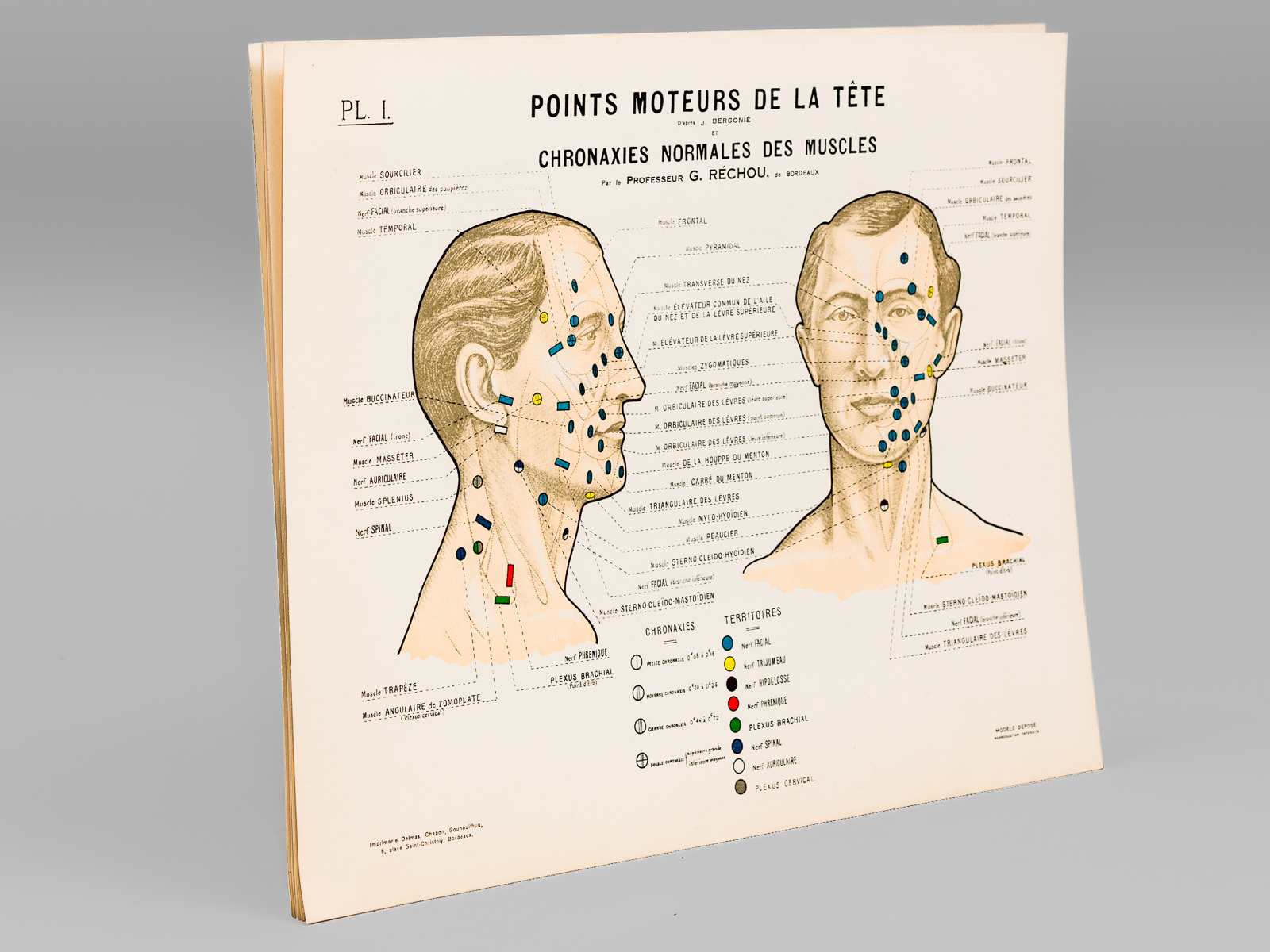 photo n°7 : Tableaux des Points Moteurs d'après J. Bergonié et Chronaxies normales des Muscles par le Professeur G. Réchou (6 Planches en couleurs - Complet) I : Point Moteur de la Tête d'après J. Bergonié ; II : Points Moteur