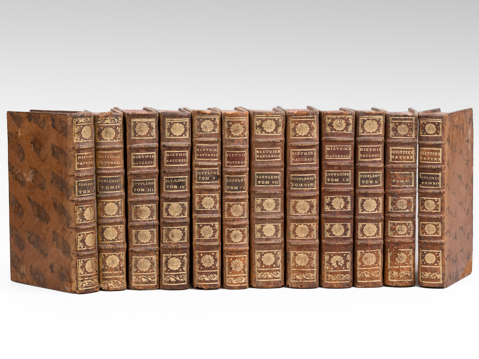 photo n&deg;14 : Histoire Naturelle G&eacute;n&eacute;rale et Particuli&egrave;re, servant de suite &agrave; la Th&eacute;orie de la Terre & d'Introduction &agrave; l'histoire des Min&eacute;raux. Suppl&eacute;ment (12 Tomes - Complet)