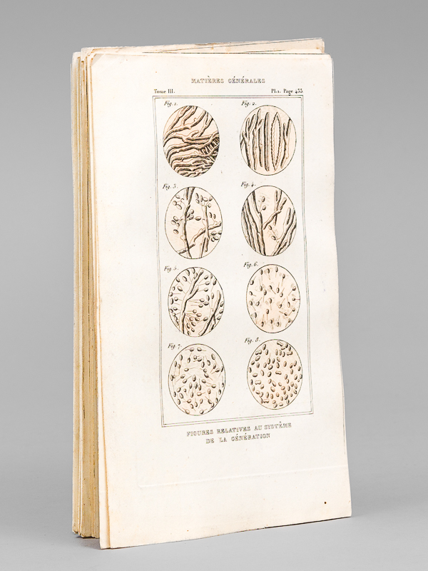 photo n°12 : Matières générales - L'Homme - Géographie [ Lot de 8 planches coloriées au pinceau et 4 cartes doubles ] Figures relatives au système de la génération - Malformations humaines - Carte des deux r&eacu