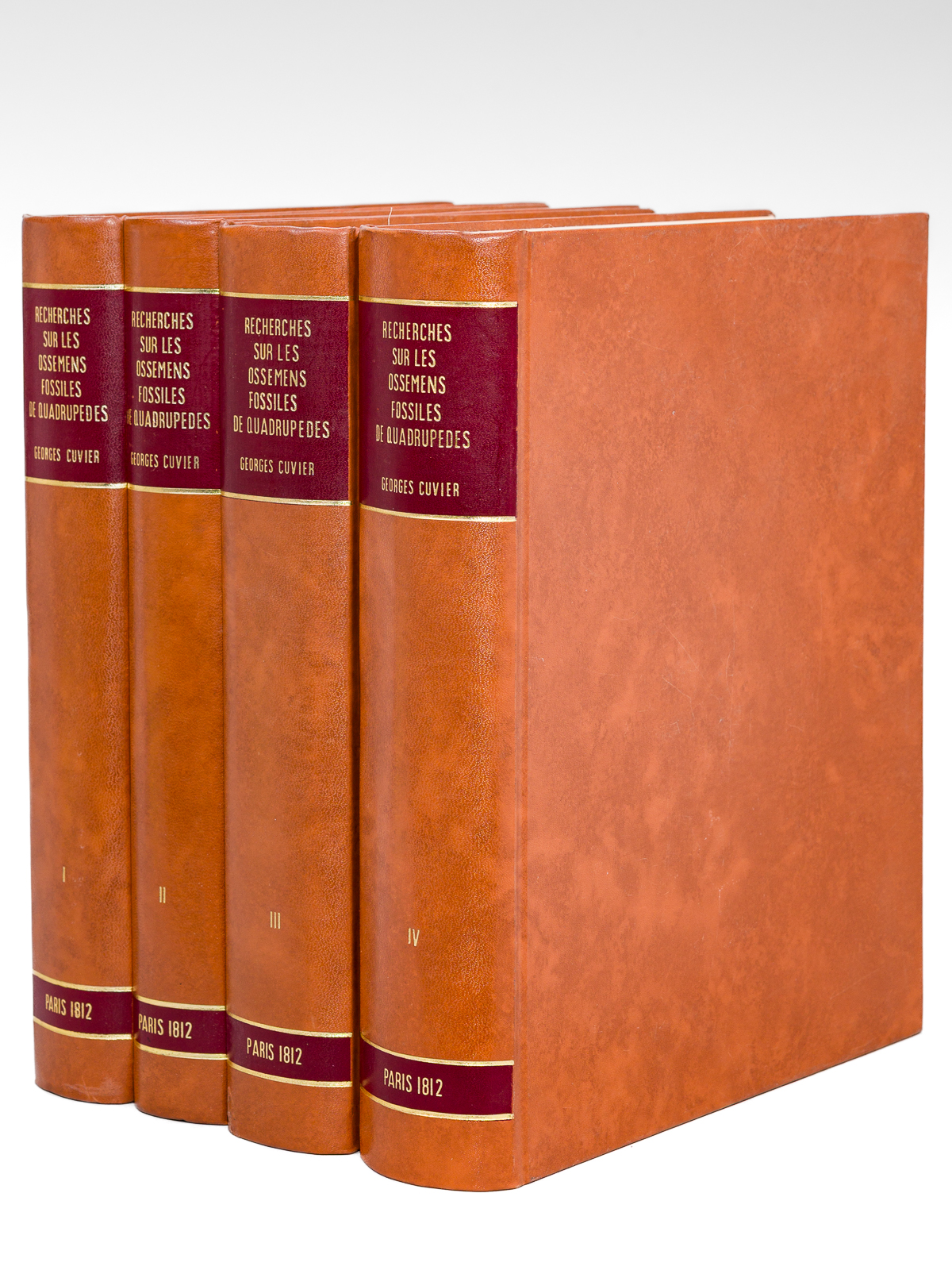 photo n°9 : Recherches sur les Ossemens Fossiles de Quadrupèdes, où l'on rétablit les Caractères de plusieurs Animaux que les Révolutions du Globe paroissent avoir détruites (4 Tomes - Complet) Tome I : Contenant le Discours