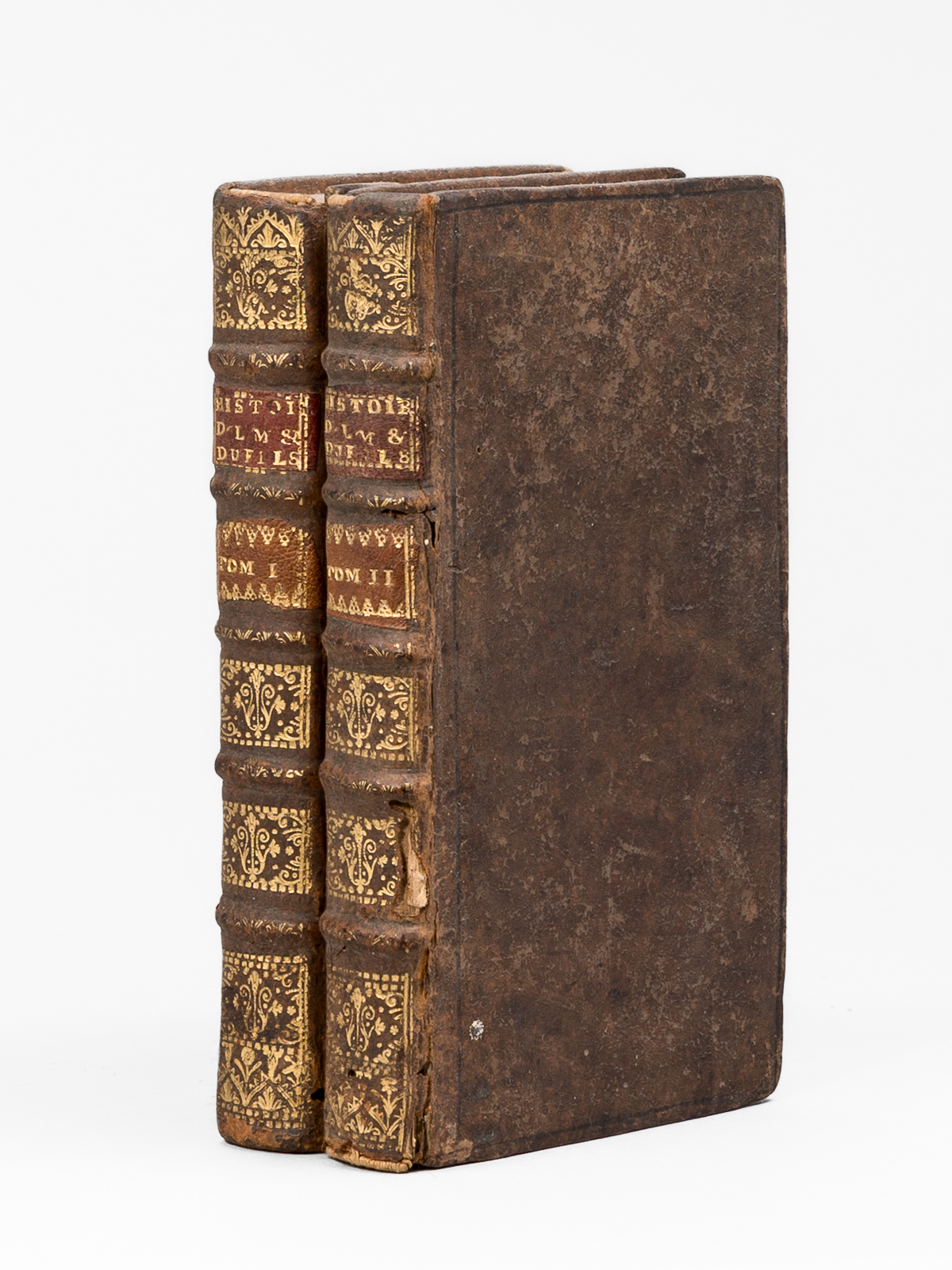 photo n&deg;12 : Histoire de la M&egrave;re et du Fils (2 Tomes - Complet) C'est-&agrave;-dire, de Marie de Medicis, Femme du Grand Henry, & Mere de Louis XIII. Roy de France, et de Navarre. Contenant l'Etat des affaires Politiques & Eccl&eacute;siastiques arriv&eacute;es