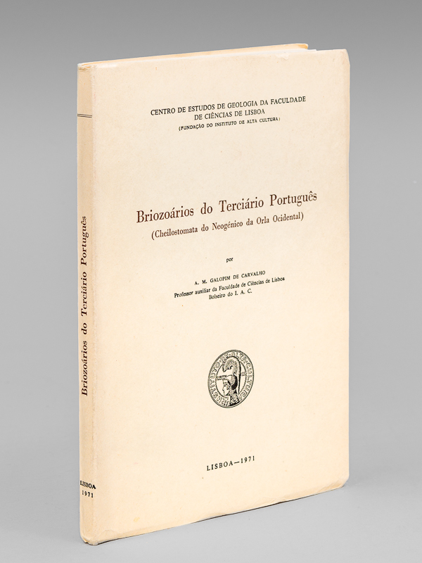 photo n°8 : Briozoarios do Terciario Portugues (Cheilostomata di Neogenico da Orla Occidental)