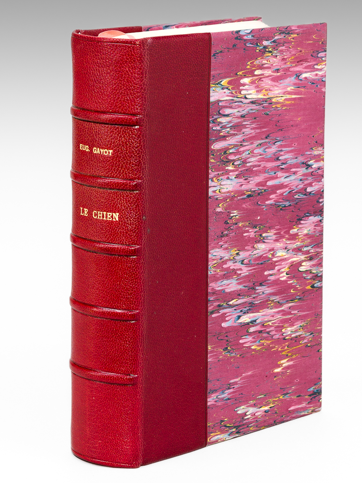 photo n°14 : Le Chien. Histoire Naturelle. Races d'utilité et d'Agrément - Reproduction - Education - Hygiène - Maladies - Législation. Avec un Atlas de 67 planches et 127 figures [ Edition originale ]