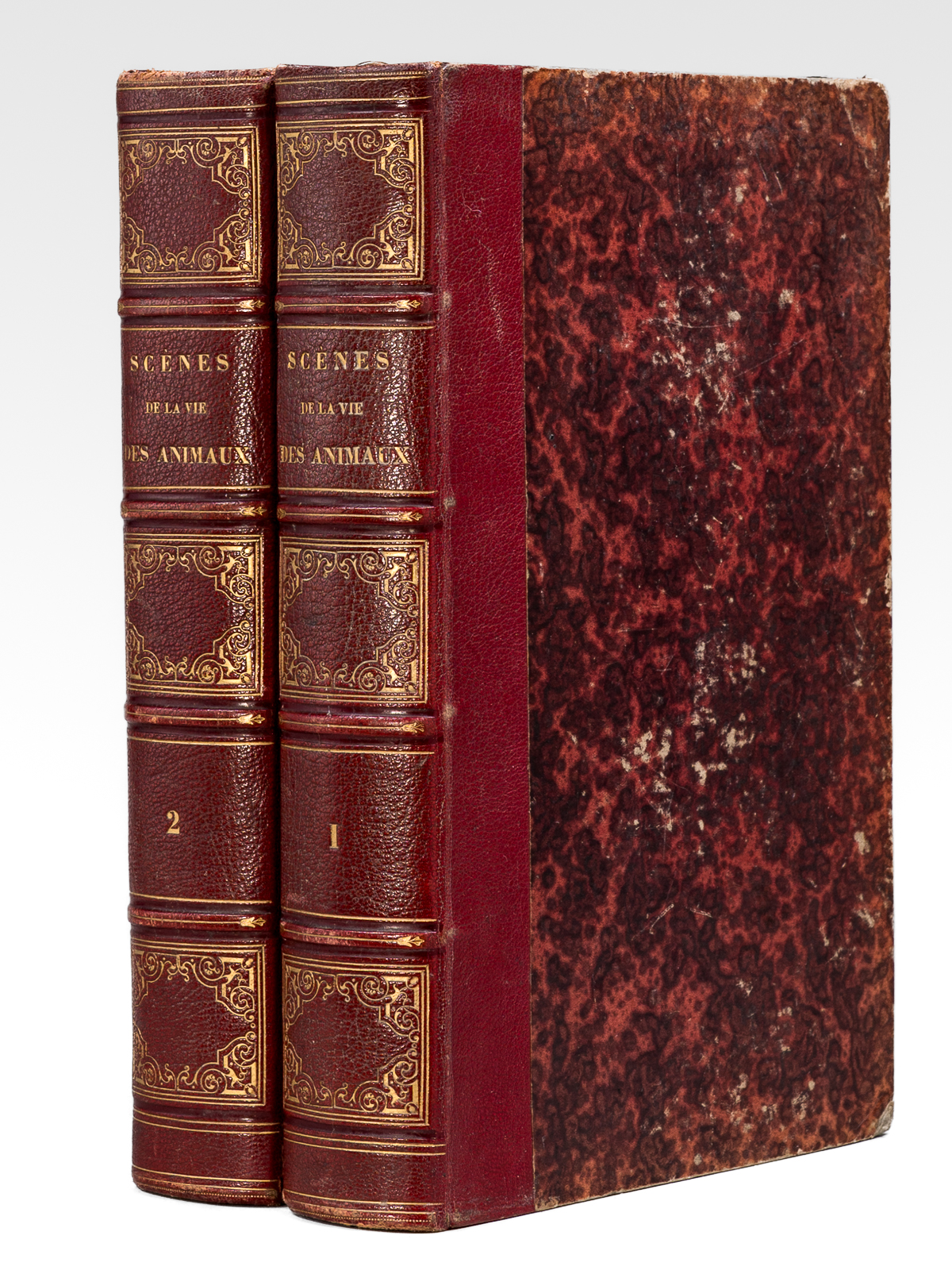 photo n°15 : Scènes de la Vie Privée et Publique des Animaux. Etudes de Moeurs contemporaines (2 Tomes - Complet) [ Edition originale ]