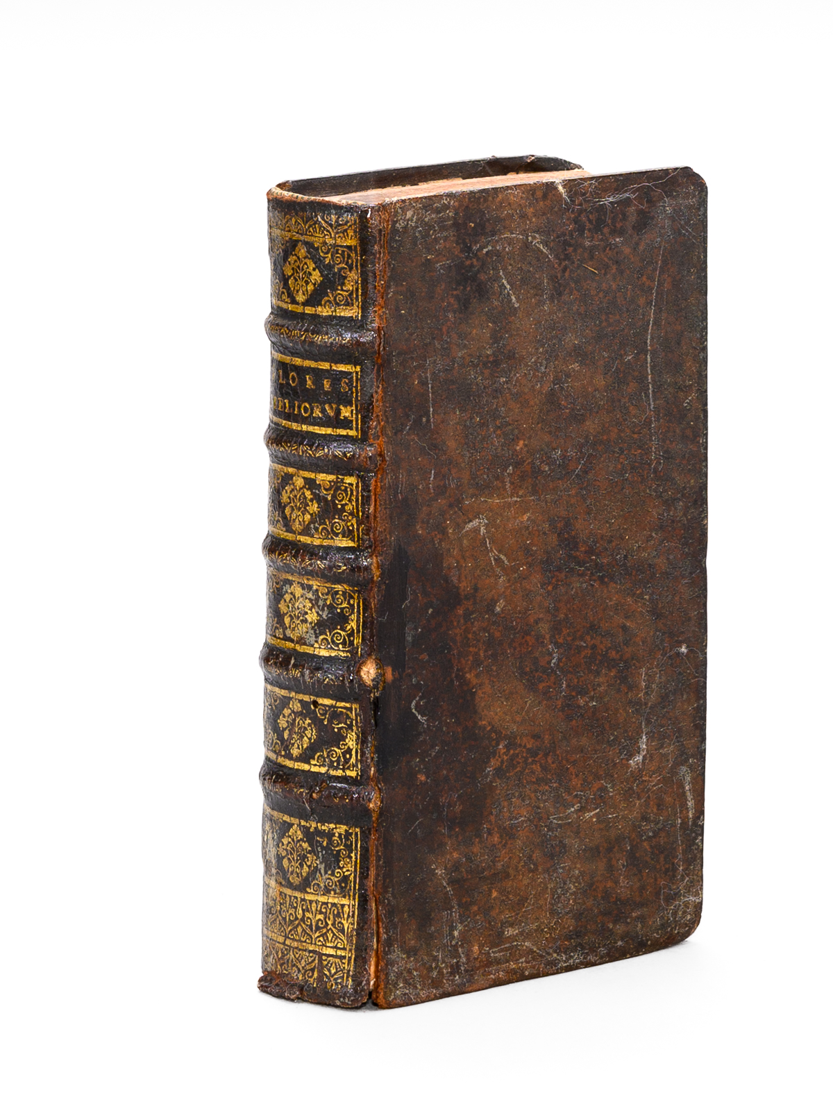 photo n°9 : Flores Sacrorum Bibliorum : sive Loci Communes omnium fere materiarum Veteris & Novi Testamenti.
