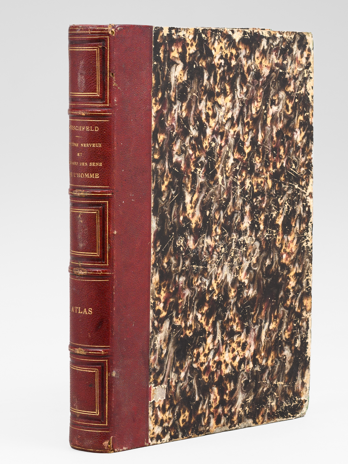 photo n&deg;11 : N&eacute;vrologie et esth&eacute;siologie. Trait&eacute; et iconographie du syst&egrave;me nerveux et des organes des sens de l'homme avec leur mode de pr&eacute;paration. Atlas [ Atlas seul ]