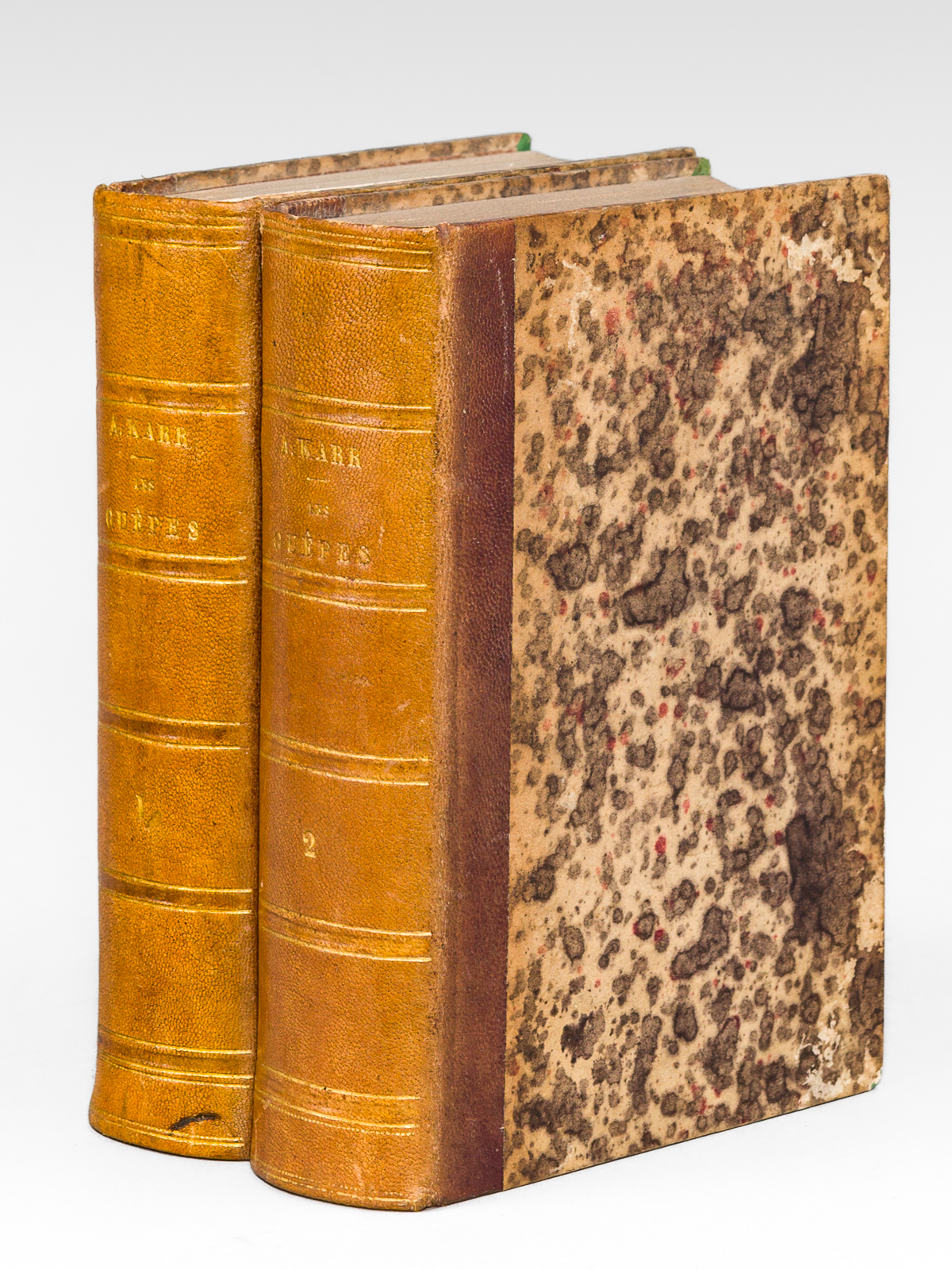 photo n°11 : Les Guêpes, revue philosophique et littéraire des évènements contemporains (numéros 1 à 52, reliés en 2 volumes)