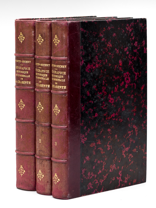 photo n°12 : Géographie historique et communale de la Charente (3 Tomes - Complet) Tome I : Arrondissement d'Angoulême ; Tome II : Arrondissements de Cognac et de Barbezieux ; Tome III : Arrondissements de Confolens et de Ruffec