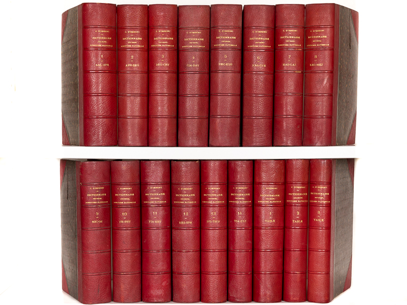 photo n&deg;20 : Dictionnaire Universel d'Histoire Naturelle (14 Tomes et 3 Volumes d'Atlas : 17 Tomes - Complet)