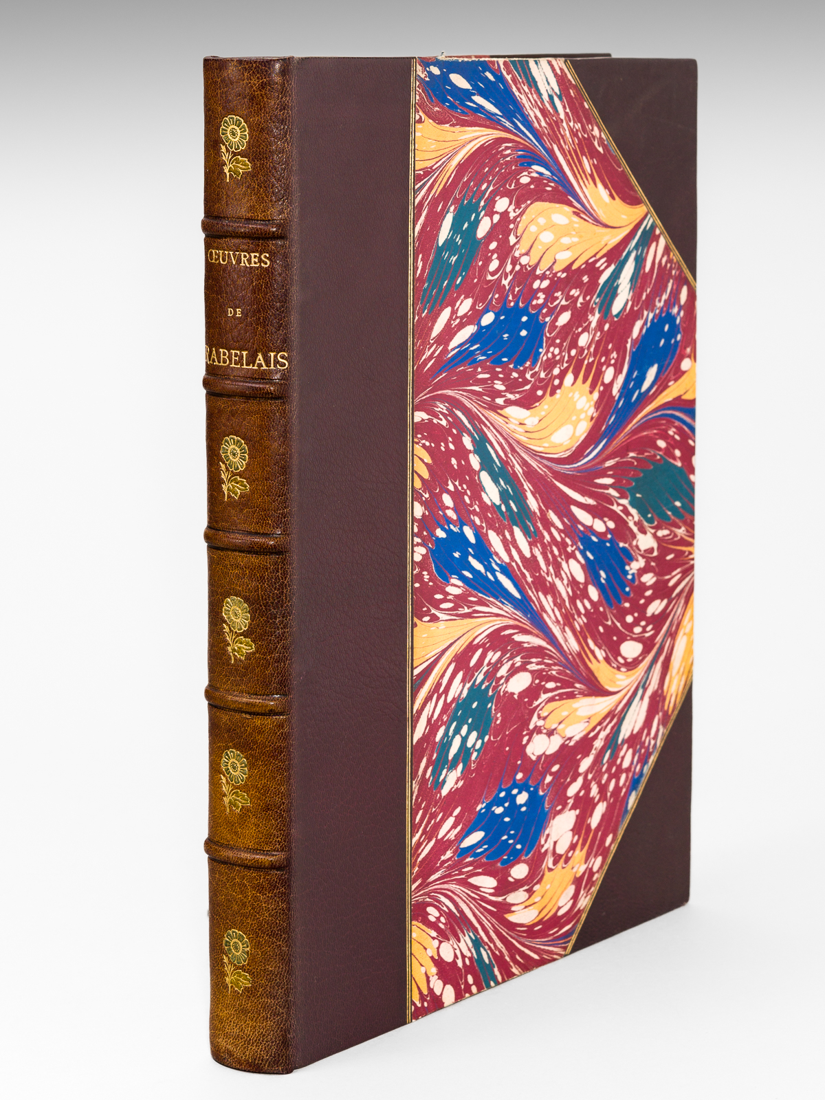 photo n°12 : Rabelais et l'Oeuvre de Jules Garnier (Texte seul) [ Contient : ] Gargantua - Pantagruel
