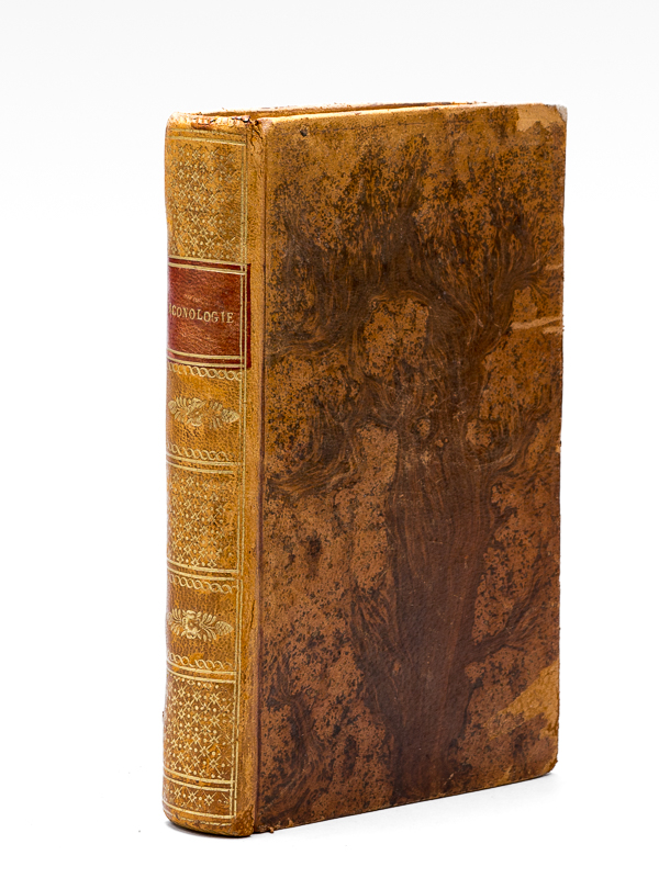 photo n°20 : [ Recueil de planches : ]  Salvator Rosa Invenit (Liber Primus, Secundus, Tertius, Quartus) [ Relié avec : ] [ Recueil de 38 planches en couleurs : Oiseaux par Martinet ]