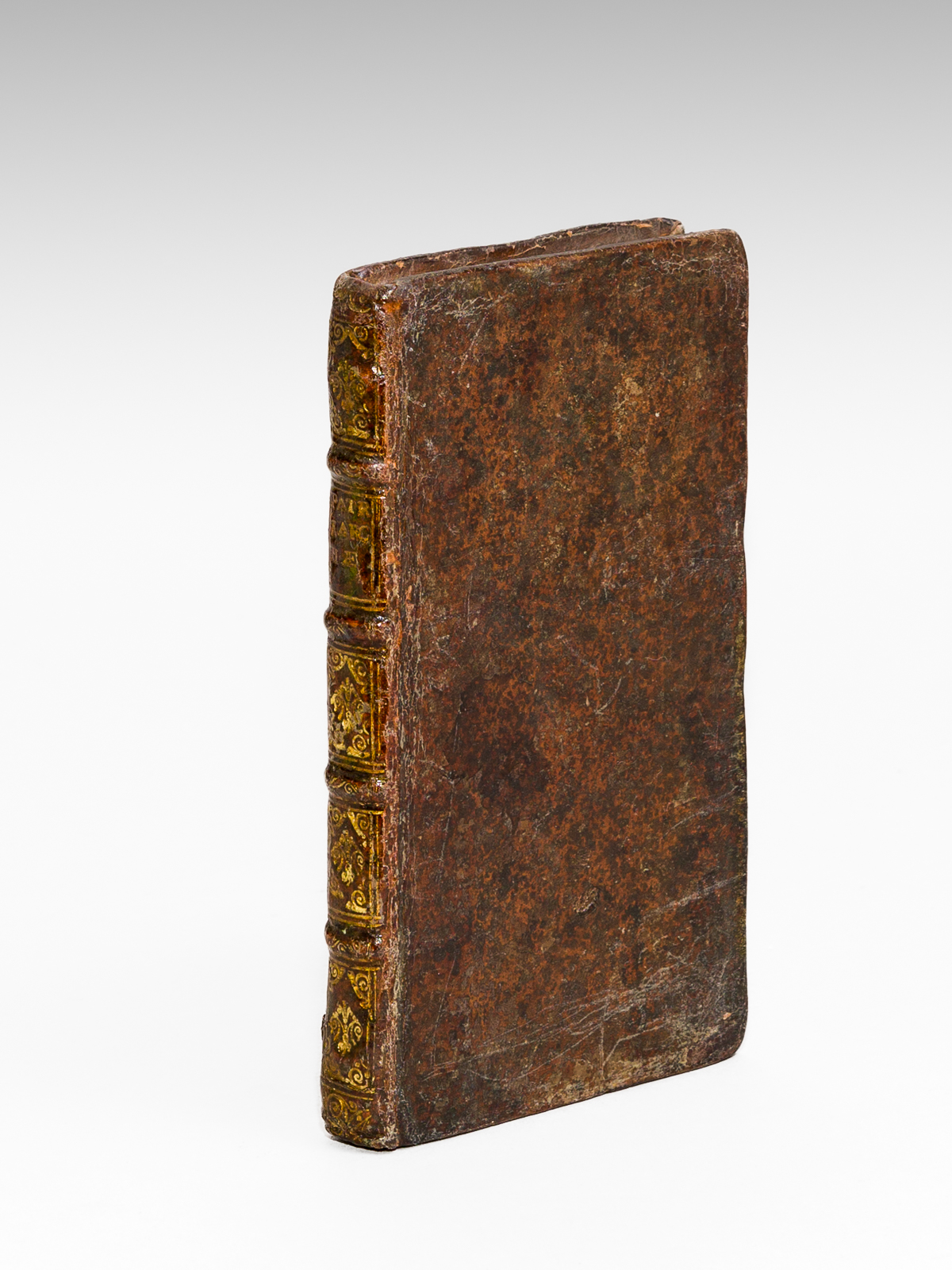 photo n°11 : Patriarchae, sive Christi Servatoris Genealogia, per Mundi Aetates traducta, A D. Emanuele Thesauro, Patritio Taurinensi, Comite, & Magnae Crucis Equite Sanctorum Mauritij & Lazari