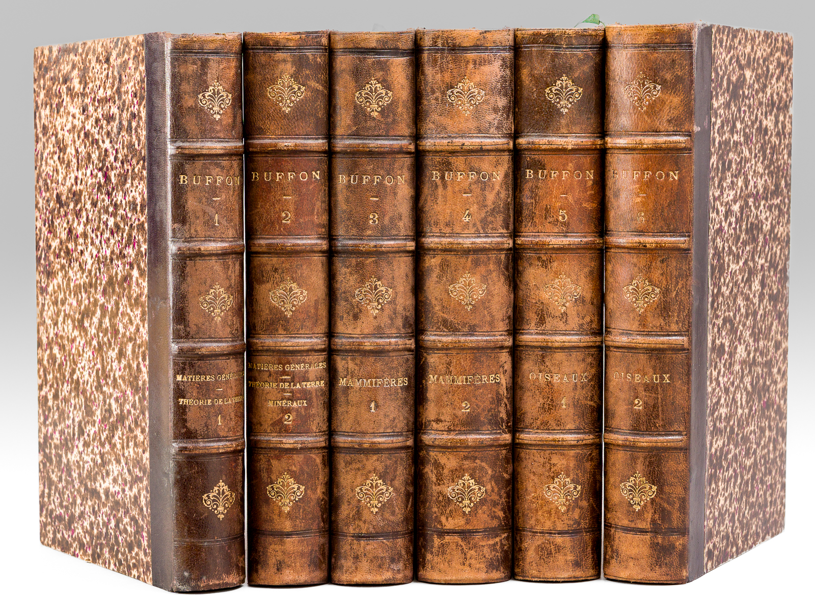 photo n°14 : Oeuvres complètes de Buffon avec des extraits de Daubenton et la classification de Cuvier (6 Tomes - Complet) Tome I : Matières générales. Théorie de la Terre ; Tome II : Matières Générales. II Th&ea