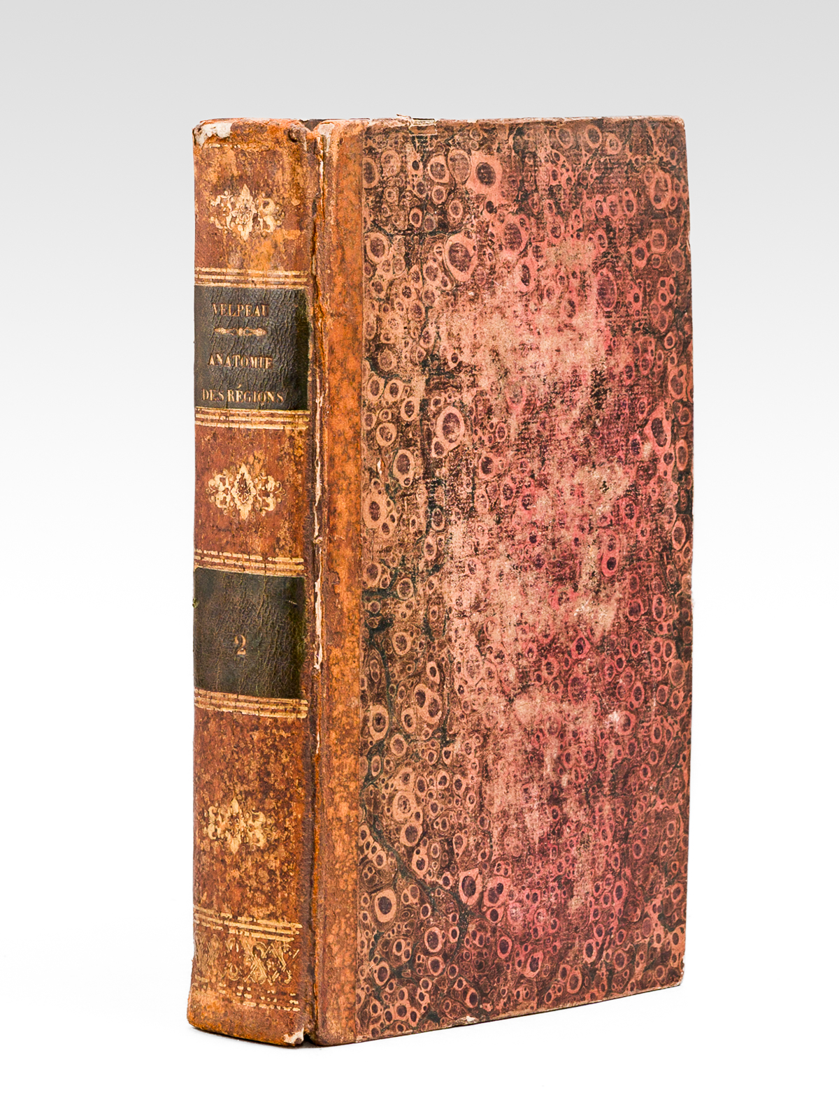 photo n°12 : Traité d'anatomie chirurgicale ou anatomie des régions, considérée dans ses rapports avec la Chirurgie (Tome deuxième seul)