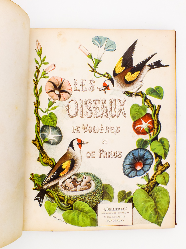 photo n°16 : Les Oiseaux de Volières et de Parcs avec planches coloriées d'après nature [ Edition originale ]