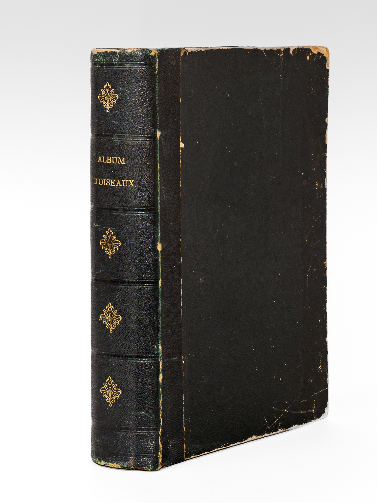 photo n°10 : Album d'Oiseaux [ Album de planches en couleurs extraites de l'Histoire Naturelle de Buffon ]
